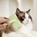 Pet Slicker Brush