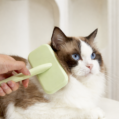 Pet Slicker Brush
